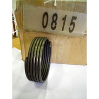 Brake spring for planet gearbox for ladles